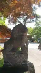 和樂備神社の狛犬