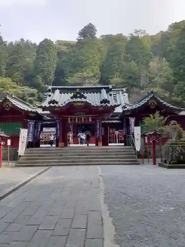 箱根神社の本殿・本堂