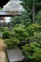 根来寺 智積院の庭園