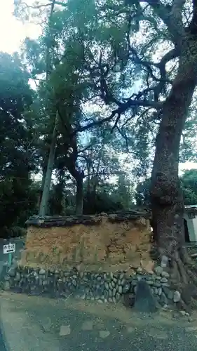 府八幡宮(静岡県)