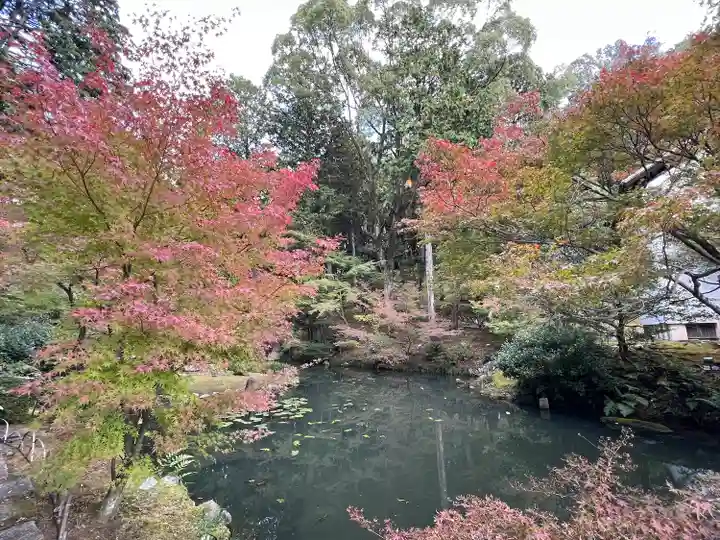 くろ谷 金戒光明寺(京都府)