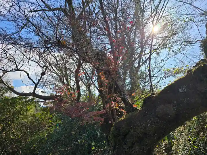 龍泉寺(大阪府)