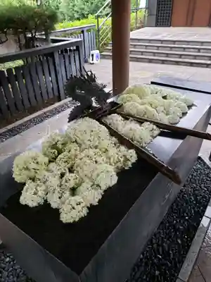 熊野神社(東京都)