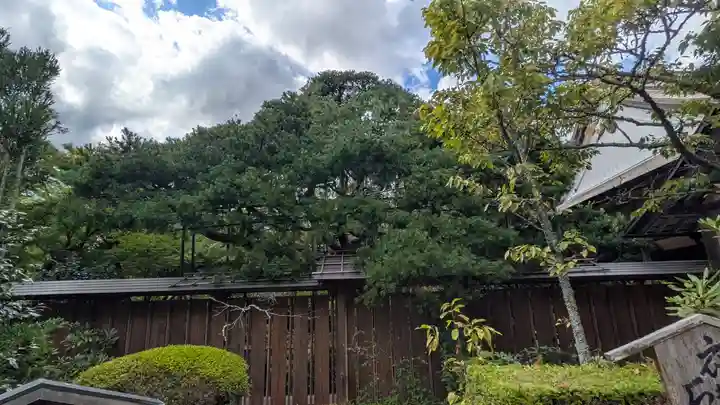 宝泉院(京都府)