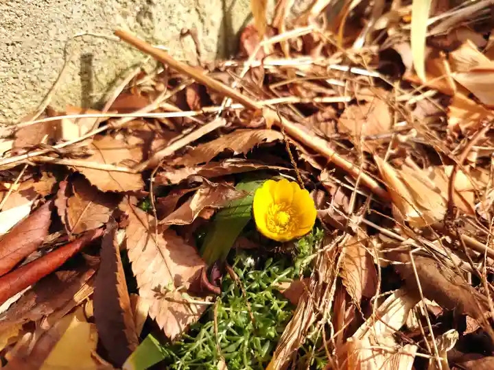 阿邪訶根神社(福島県)
