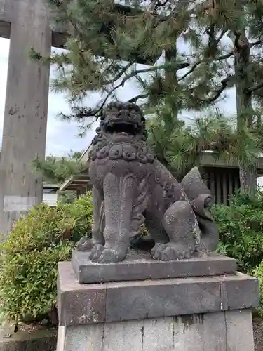 福井神社の狛犬