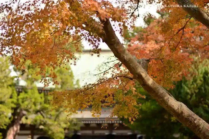 円覚寺のその他建物