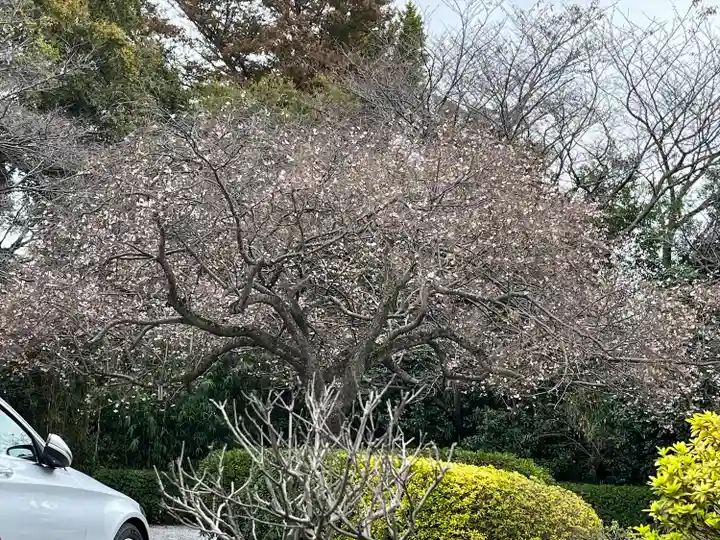 櫻木神社(千葉県)