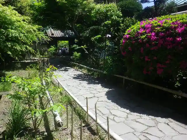 英勝寺の庭園