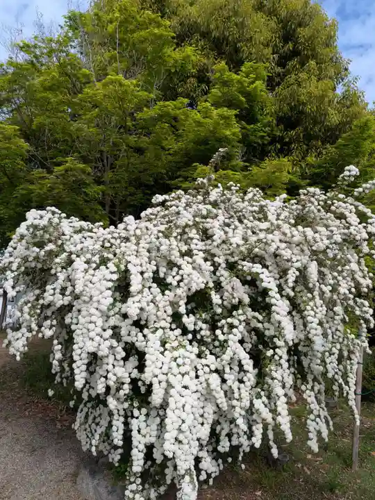 比佐豆知神社(三重県)