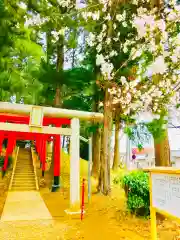 神谷稲荷神社(茨城県)