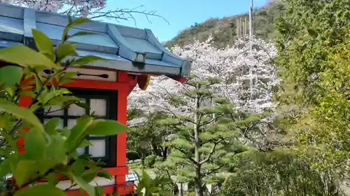 木華佐久耶比咩神社(岡山県)