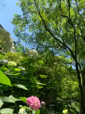 久安寺(大阪府)