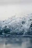 成蓮寺(島根県)