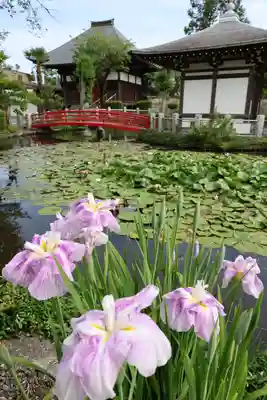 圓照寺(埼玉県)