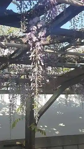 西方山極楽寺(岐阜県)