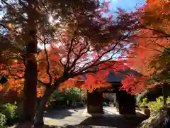 普門寺(切り絵御朱印発祥の寺)の山門