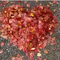 彌彦神社 (伊夜日子神社)(北海道)