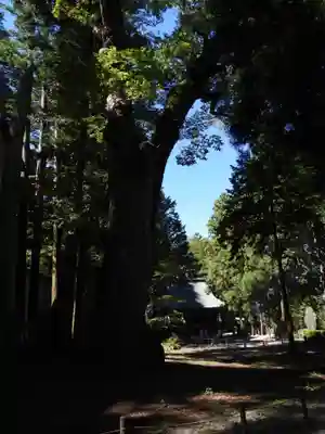 諏訪大社(長野県)