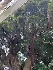 三嶋神社(茨城県)