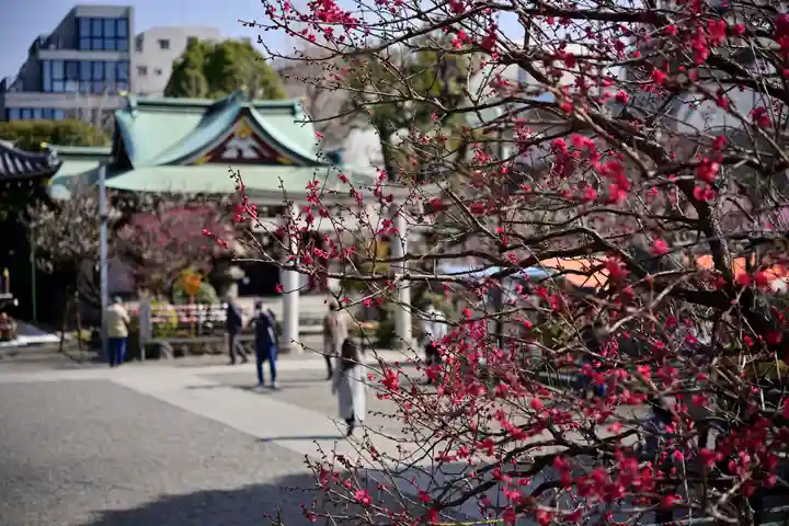 亀戸天神社(東京都)