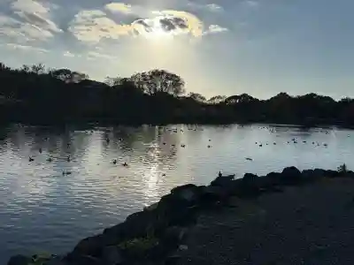 浮島神社の{uncategorized: "未分類", other: "その他", undefined: "問題あり", building: "その他建物", grave: "お墓", sacred_gate: "鳥居", guardian: "狛犬", statue: "像", buddha: "仏像", history: "歴史", nature: "自然", garden: "庭園", animal: "動物", pagoda: "塔", temizu: "手水舎", mountain_gate: "山門・神門", sanctuary: "本殿・本堂", subordinate: "末社・摂社", art: "芸術", scenery: "景色", jizo: "地蔵", ema: "絵馬", goshuin: "御朱印", omikuji: "おみくじ", items: "授与品その他", amulet: "お守り", goshuincho: "御朱印帳", eats: "食事", festival: "お祭り", votive_dance: "神楽", shichigosan: "七五三参", wedding: "結婚式", experience: "体験その他", initially: "初詣", around: "周辺", anti_infection: "感染症対策"}