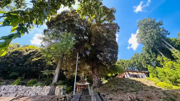 小讃岐神社(福井県)