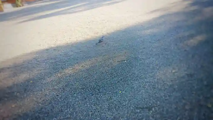 尾張大國霊神社(国府宮)の動物