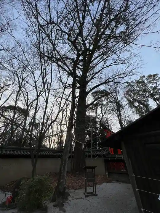 河合神社(鴨川合坐小社宅神社)(京都府)