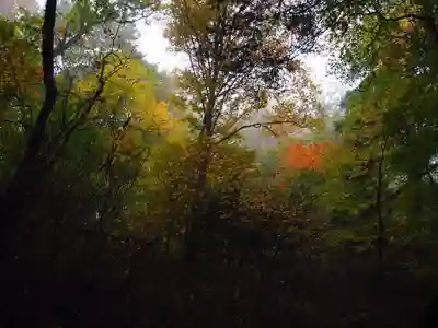 七面山敬慎院の自然