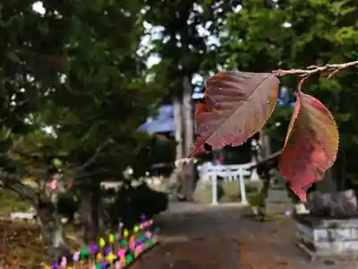 高司神社〜むすびの神の鎮まる社〜(福島県)