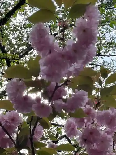 兵主神社(兵庫県)