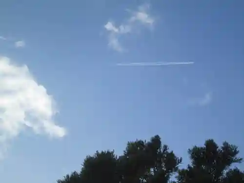 屋久島大社の自然