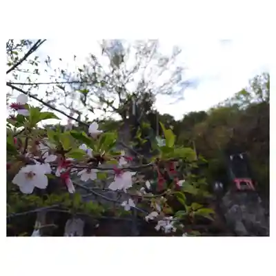 岐阜稲荷山本社(岐阜県)