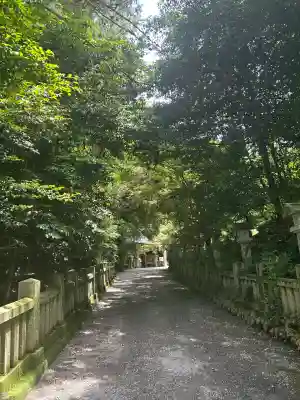 大水上神社(香川県)