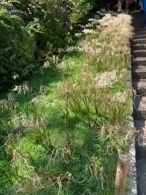 横浜　西方寺(神奈川県)