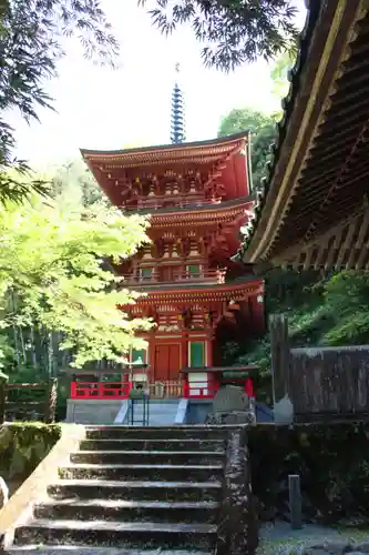 青龍寺の建物その他