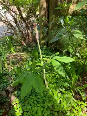 雲巌寺(栃木県)