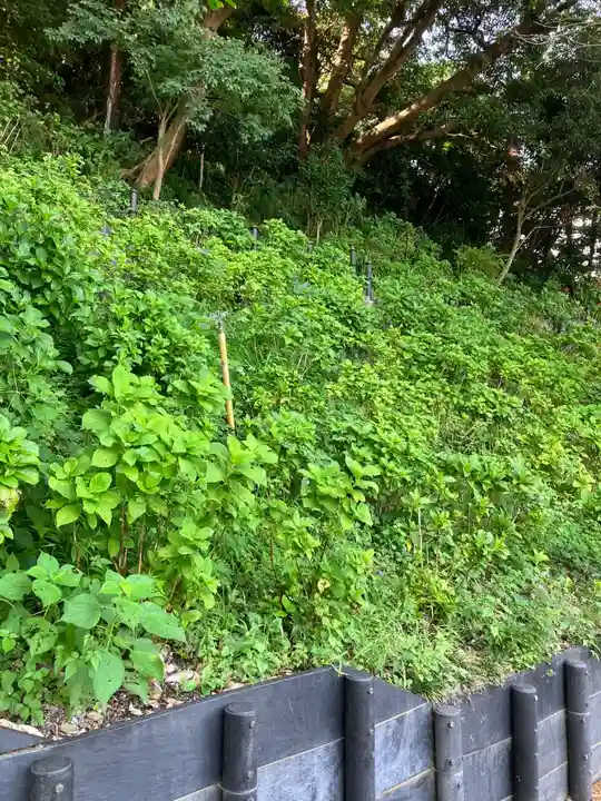 長谷寺(神奈川県)