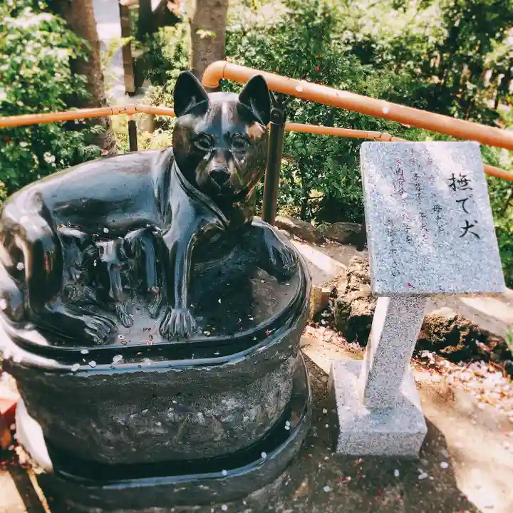鎮守氷川神社の狛犬
