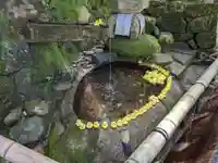 石上神宮(奈良県)