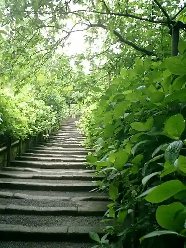 明月院の庭園