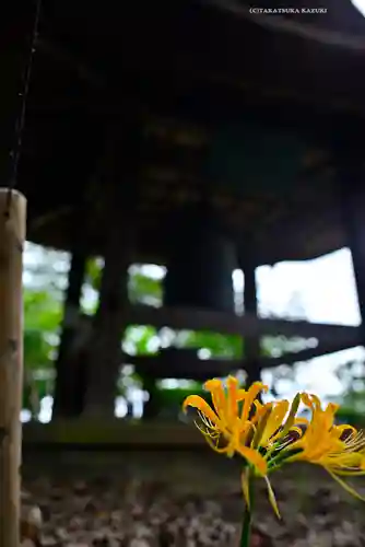 横浜　西方寺(神奈川県)