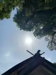 彌都加伎神社の建物その他