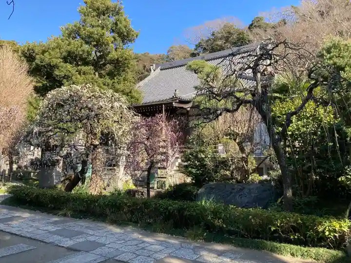 常立寺の自然