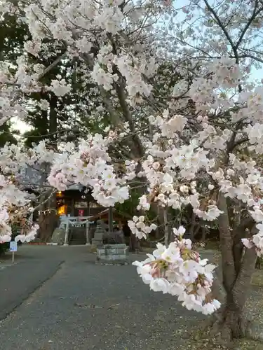 高司神社〜むすびの神の鎮まる社〜の自然