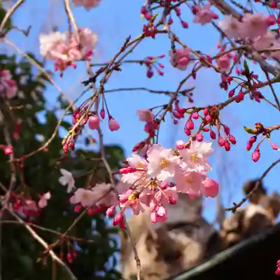 弘明寺(神奈川県)