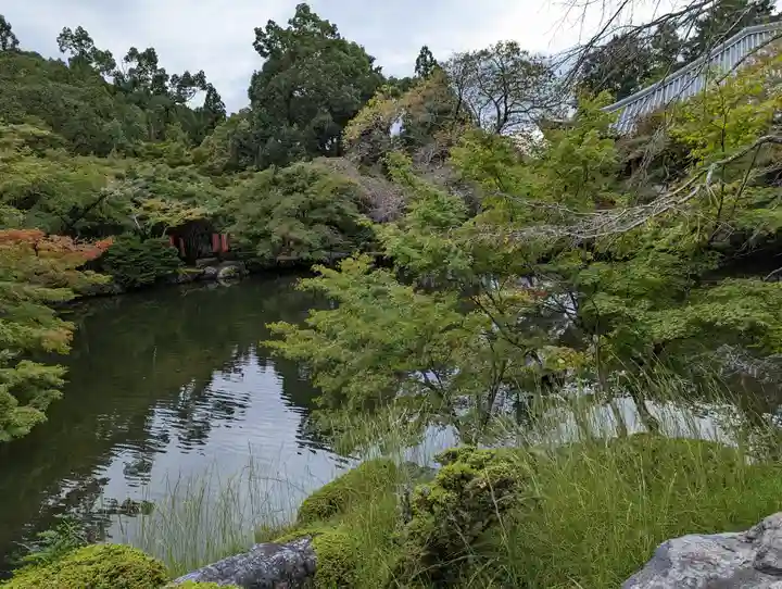 醍醐寺(京都府)