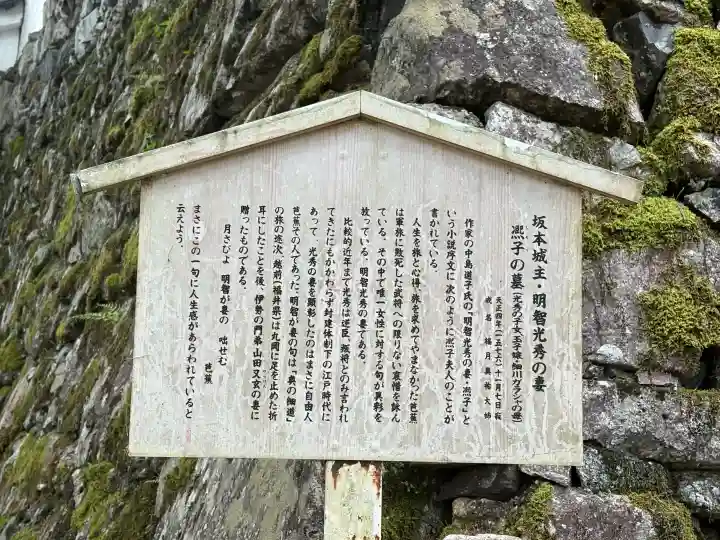 西教寺の{uncategorized: "未分類", other: "その他", undefined: "問題あり", building: "その他建物", grave: "お墓", sacred_gate: "鳥居", guardian: "狛犬", statue: "像", buddha: "仏像", history: "歴史", nature: "自然", garden: "庭園", animal: "動物", pagoda: "塔", temizu: "手水舎", mountain_gate: "山門・神門", sanctuary: "本殿・本堂", subordinate: "末社・摂社", art: "芸術", scenery: "景色", jizo: "地蔵", ema: "絵馬", goshuin: "御朱印", omikuji: "おみくじ", items: "授与品その他", amulet: "お守り", goshuincho: "御朱印帳", eats: "食事", festival: "お祭り", votive_dance: "神楽", shichigosan: "七五三参", wedding: "結婚式", experience: "体験その他", initially: "初詣", around: "周辺", anti_infection: "感染症対策"}