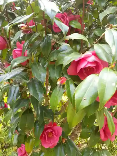 徳性寺(宮城県)